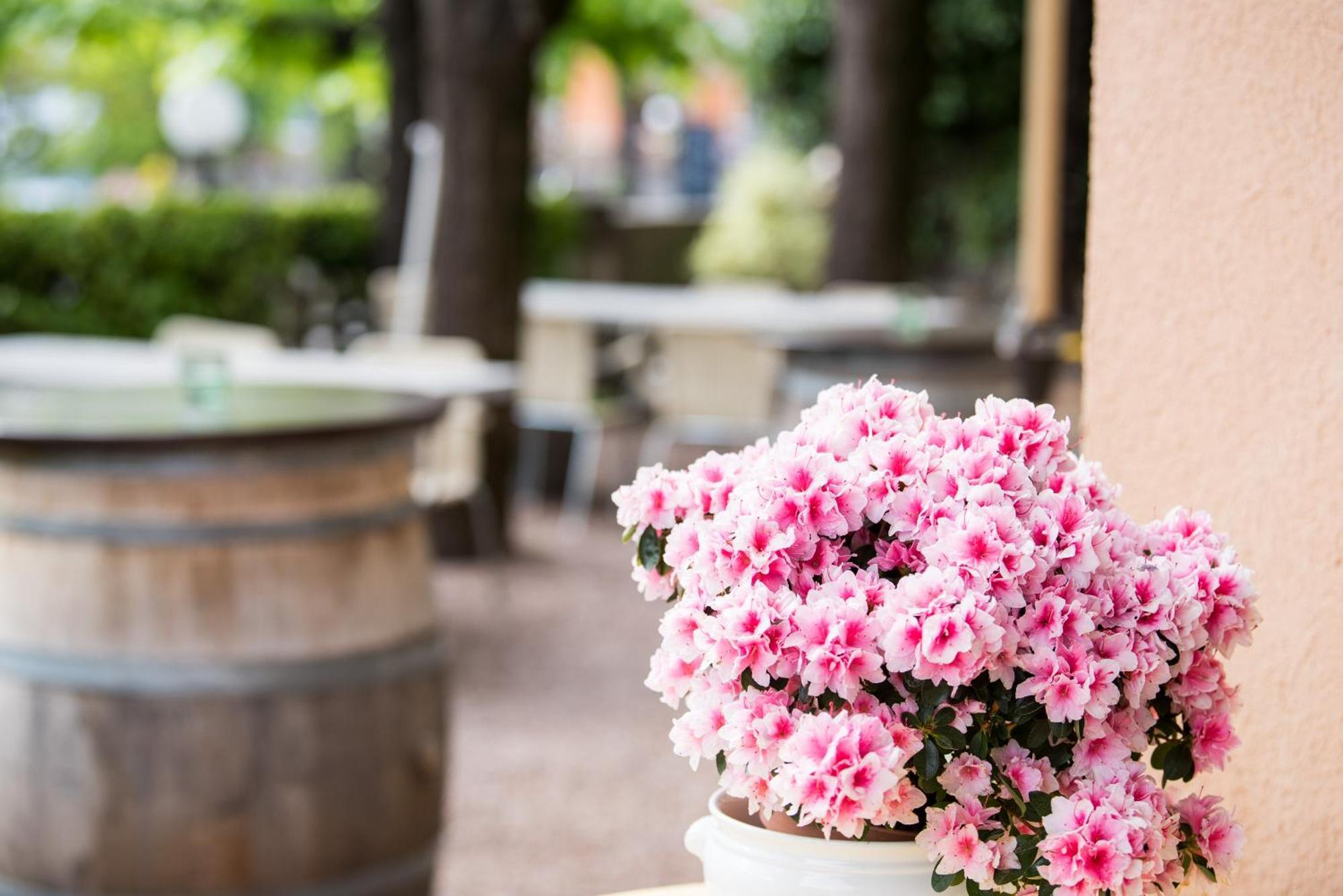 Albergo Hotel Tesserete 3*